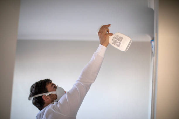 Best Mold Remediation for Specific Building Types in Midway, KY