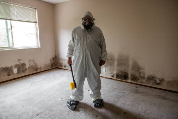 Best Mold Remediation for Specific Building Types in Midway, KY